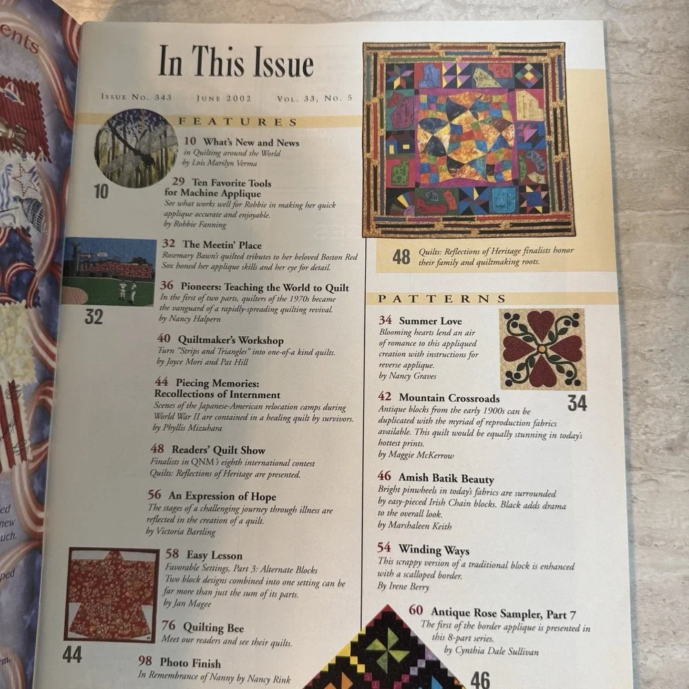 Quilter's Newsletter Magazine*‎ Vintage June 2004